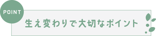 ●生え変わりで大切なポイント