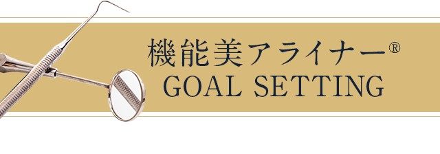 【機能美アライナー®GOAL SETTING】