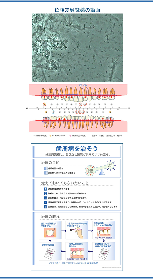 位相差顕微鏡の動画