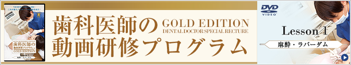 Ȉt̓挤CvOGOLD EDITION LESSONP Eo[_